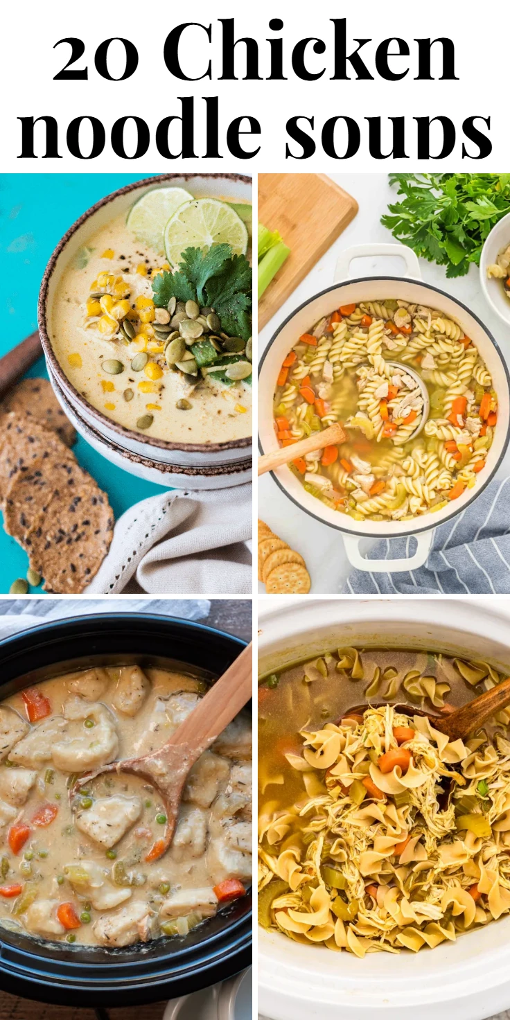 Chicken noodle soups