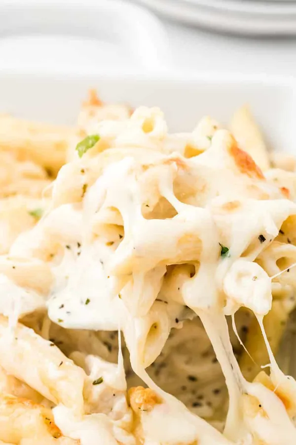 Chicken Alfredo Bake Recipe