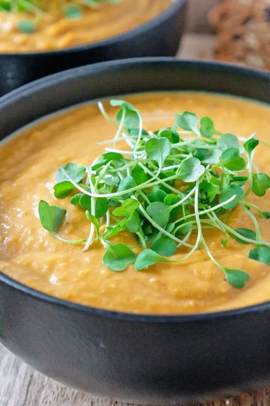 Creamy Butternut Squash Soup Recipe