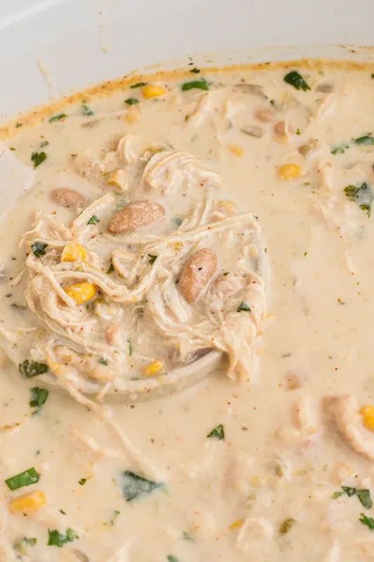 Slow Cooker White Chicken Chili Recipe