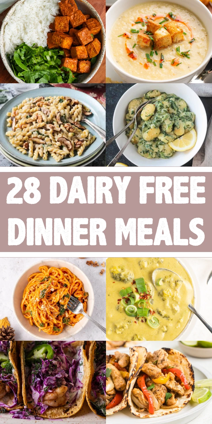 Dairy-Free Dinner Meals